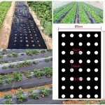 EGUARD13000__e6bde80