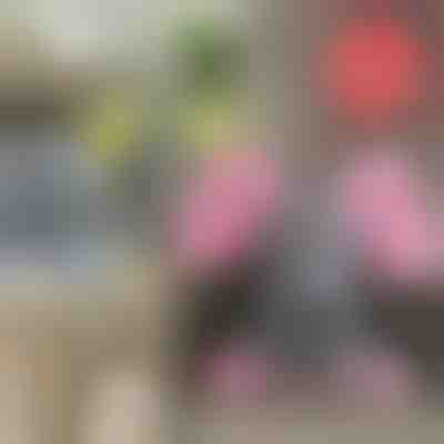 Elefantino cantante TRUMPY 1+1 Gratis